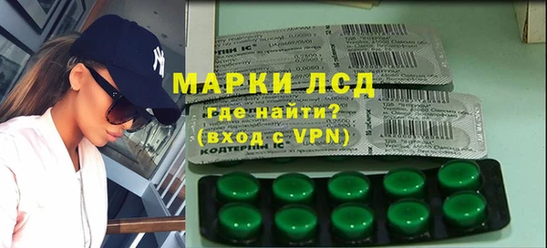 индика Алзамай